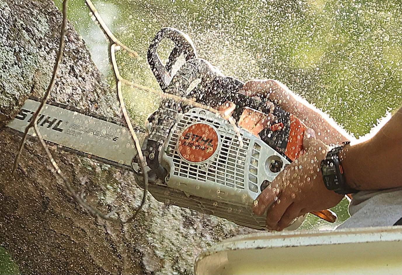 Climber rigging a hardwood limb down between a house and a fence in Cullman, Alabama