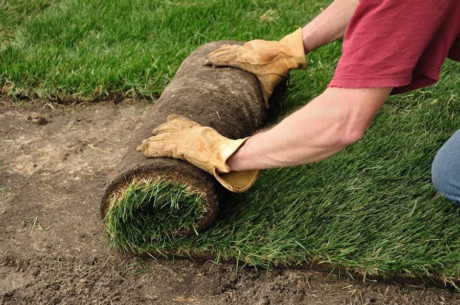 Worker unrolling fresh sod across prepared soil